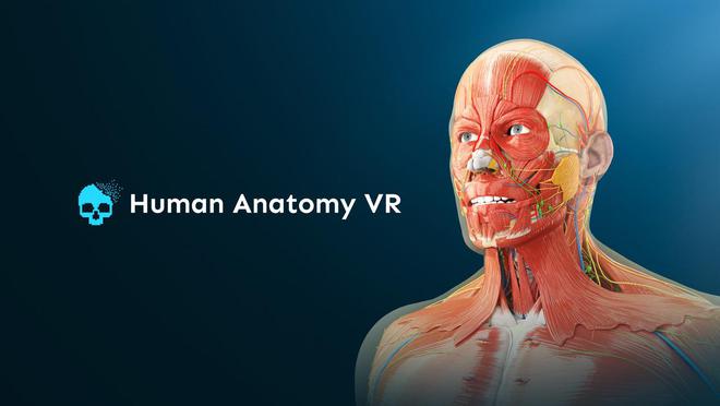 KU酷游网址SteamVR年度黑马盘货：10款小众但封神的2025VR游戏(图8)